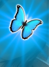Guest_paula81534