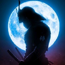 Guest_Darkknight41