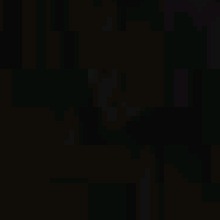 Guest_Matheo36