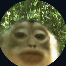 SeanMT