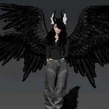 Guest_Haleydarkwolf