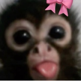 Guest_soolll1