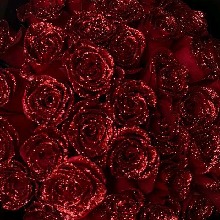 Guest_Amira555