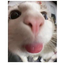Guest_itsKaylaapookie
