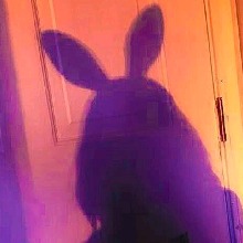 Guest_Clarinha148253