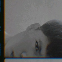 Guest_AnthonyAMG