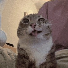 R3TSUK0