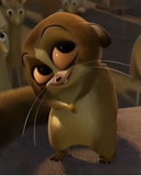 صورة الـavatar