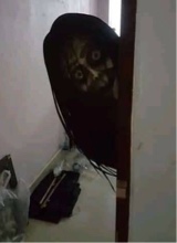 Guest_bawzxb
