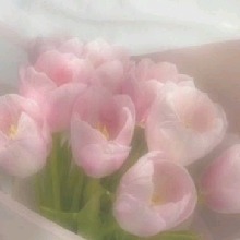 Guest_pursuivantumberc604