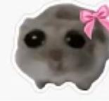 Guest_Silvana645627