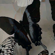 Guest_AitanaHernandez