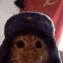 Guest_UrielHernndez2