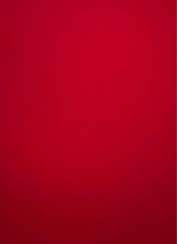 Guest_NettieBaee22