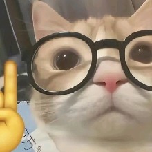 Guest_Jujuhgomes2
