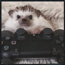 Guest_Floquindz7