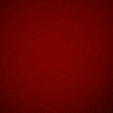immagine avatar