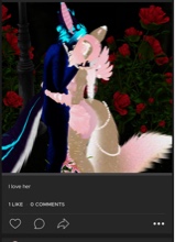 Guest_Alex558109
