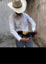 Guest_Andres431814