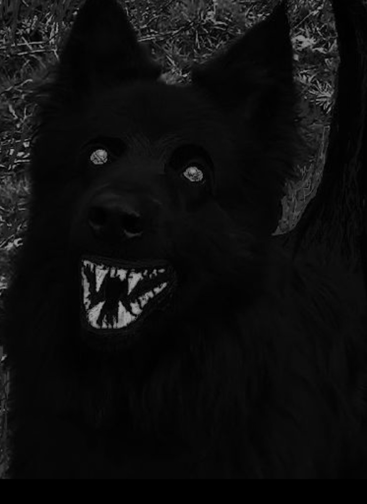 Guest_BlackHunterr