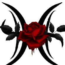 Guest_Jerrica41
