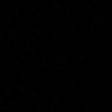 Guest_Nova505224