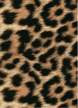 immagine avatar