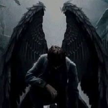 Guest_Darkness645558