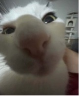 Guest_AbbyAmazing