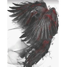 Guest_ScarletRaven3