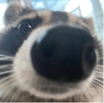 Guest_Charlie734319