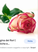 Guest_aury881