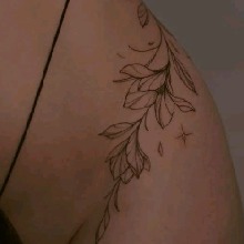 Guest_Arlequina24