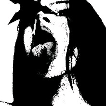 Guest_xythera
