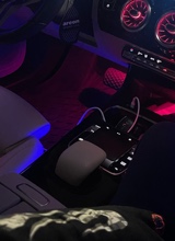 Guest_jj376106