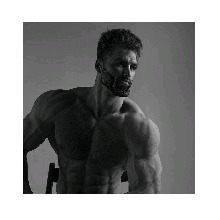 Guest_Aronhold