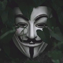 Guest_JakeDonfort1