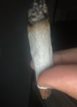 Guest_NOLUVJ52
