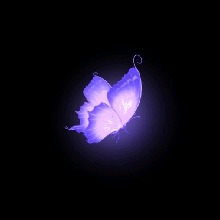 Guest_Camipollitoxd