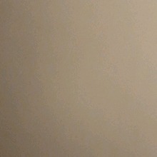 Guest_Evan134888