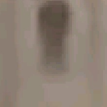 Guest_Sofi585478