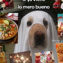 Guest_Angy173968