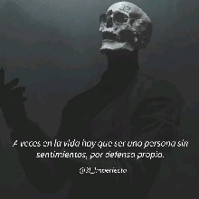 immagine avatar