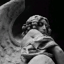 Guest_lAyn13