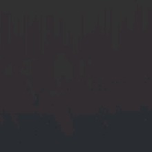 Guest_Carlosn19