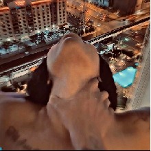 Guest_Marquis175698