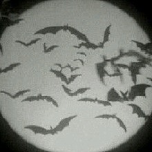 Guest_myyakhjk