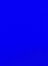 Guest_Ezequielitoo