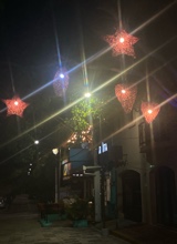 Guest_Aleissa