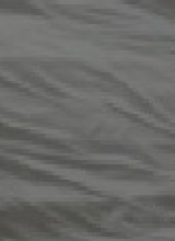 Guest_arabellaishere
